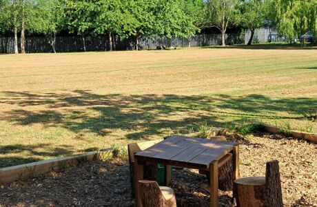 Main field